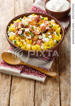 Banush or banosh is a Ukrainian dish prepared from cornmeal with cream topped with bacon, onion and bryndza closeup on the bowl. Vertical 102310502