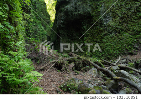 Continue to Shiwagara Falls (Hyogo Prefecture) 102310851