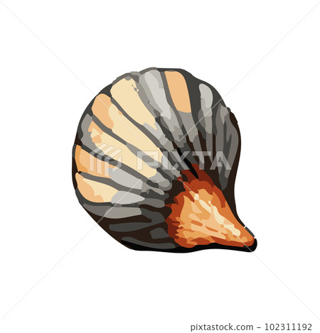 Vector Seashell watercolor illustration. Hand drawn underwater element design. Artistic vector marine design element. Illustration for greeting cards, printing and other design projects. Vector Seashell watercolor illustration. Hand drawn underwater element design. Artistic vector marine design element. Illustration for greeting cards, printing and other design projects. 102311192