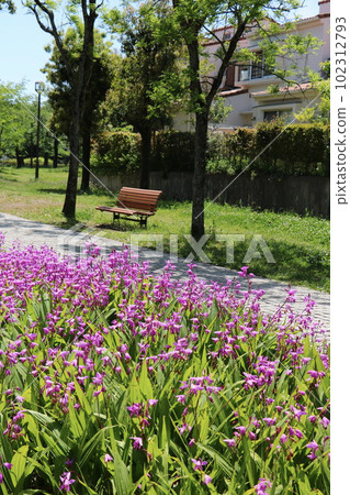 Takarano Park 102312793