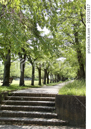 Takarano Park 102312817