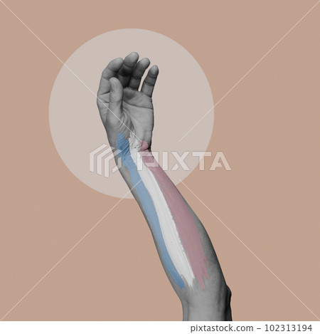 arm in black and white with a transgender flag arm in black and white with a transgender flag 102313194