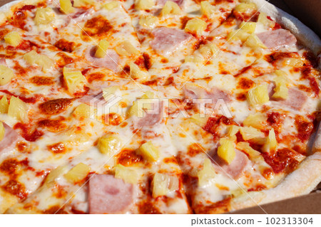 Pizza with pineapple and ham is a popular type of pizza known as Hawaiian pizza. 102313304