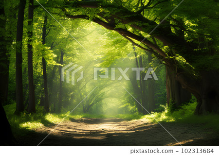Natural Archway of Sunlit Trees in the Forest. created with Generative AI 102313684