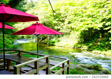 Fresh green of Kakusenkei 102314060