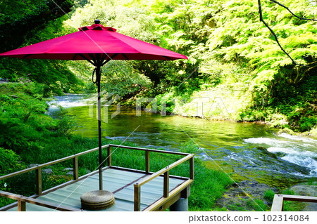 Fresh green of Kakusenkei Fresh green of Kakusenkei 102314084