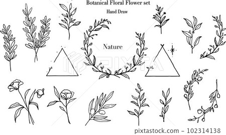 可作為標題的手繪優雅單色植物花框插畫套裝素材 可作為標題的手繪優雅單色植物花框插畫套裝素材 102314138