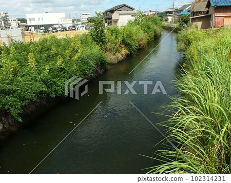 Shimoeda Irrigation Water Summer Scenery Shimoeda Irrigation Water Summer Scenery 102314231