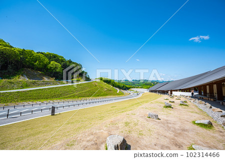 春天的願景 春天的願景 102314466