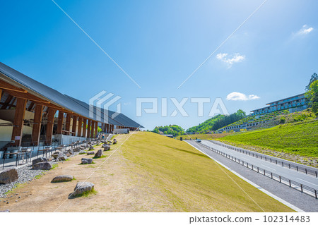 春天的願景 春天的願景 102314483