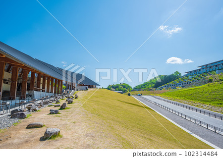 春天的願景 春天的願景 102314484