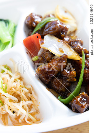 Delicious black vinegar sweet and sour pork lunch 102314646