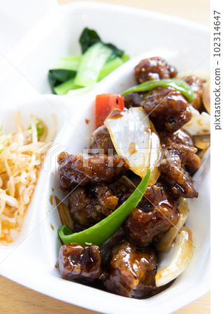 Delicious black vinegar sweet and sour pork lunch 102314647