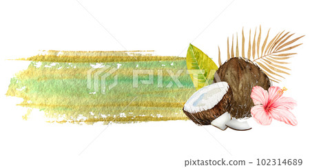 Watercolor illustration of the tropics. Coconut, tropical leaves and flowers on a colored background. Banner. Watercolor illustration of the tropics. Coconut, tropical leaves and flowers on a colored background. Banner. 102314689
