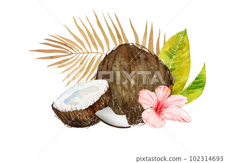 Watercolor illustration of the tropics. Coconut, tropical leaves and flowers on a colored background. Watercolor illustration of the tropics. Coconut, tropical leaves and flowers on a colored background. 102314693