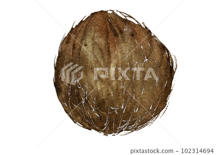 Watercolor illustration of coconut. Coconut fruits, pieces of coconut watercolor. Coconut drawing isolated Watercolor illustration of coconut. Coconut fruits, pieces of coconut watercolor. Coconut drawing isolated 102314694