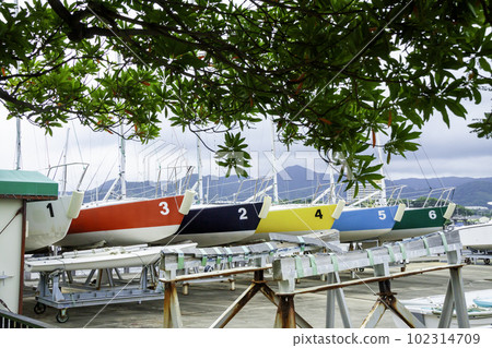 一排編號的彩色遊艇 102314709