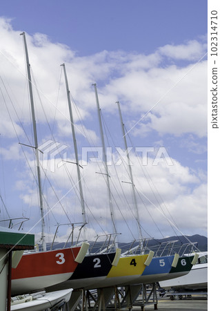 Row of numbered colorful yachts Row of numbered colorful yachts 102314710