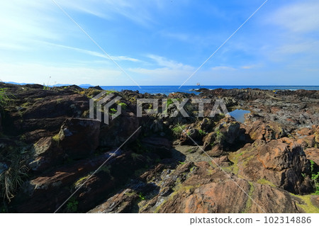 [Kagoshima Prefecture] Nagasakibana in sunny weather (a place famous for its lighthouse and beautiful scenery) 102314886
