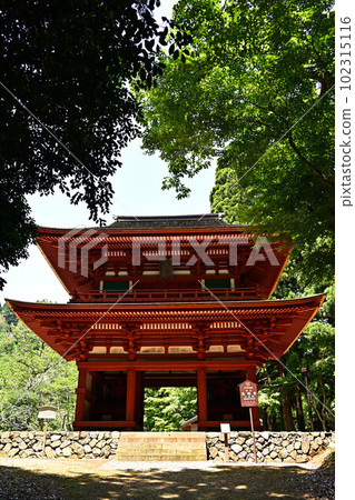 來自Komyoji 102315116