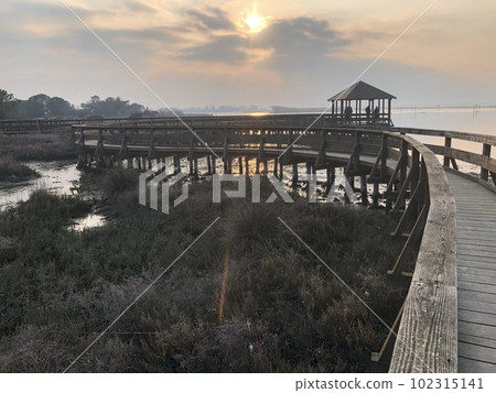 Sunset near the sea in Venice lacoo Rosolina mare Sunset near the sea in Venice lacoo Rosolina mare 102315141