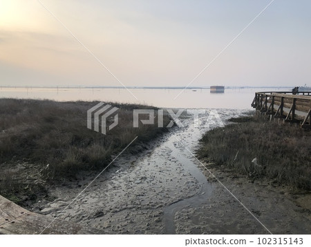 Sunset near the sea in Venice lacoo Rosolina mare 102315143