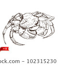 Line drawing live crab isolated on white background. Vector sea food sketch for poster, web design, banner, card, flyer, icon, logo or badge. 102315230