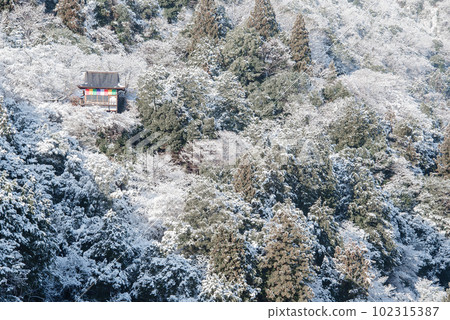 冬天的京都：嵐山和千光寺的雪景 102315387