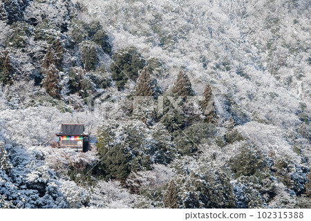 冬天的京都：嵐山和千光寺的雪景 102315388