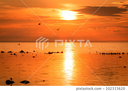 boat at sunset boat at sunset 102315620