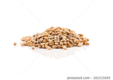 Wheat grain on white Wheat grain on white 102315693
