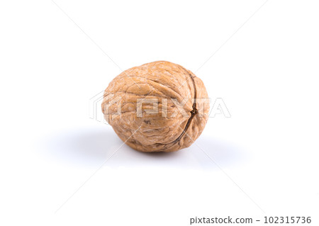 Dried walnut Dried walnut 102315736