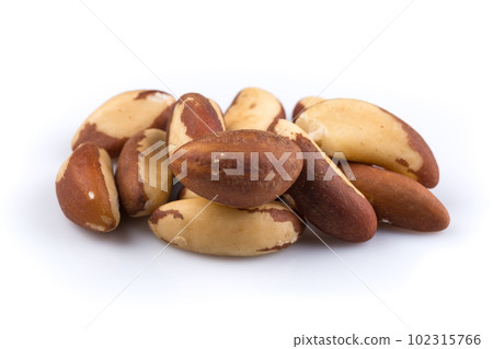 Brazil Nuts Brazil Nuts 102315766