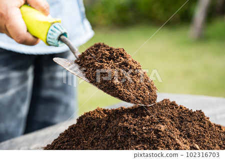 Gardener woman holding peat moss organic matter improve soil for agriculture organic plant growing, ecology concept. 102316703