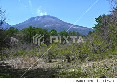 從新綠的輕井澤野鳥林眺望淺間山/長野縣 102316983