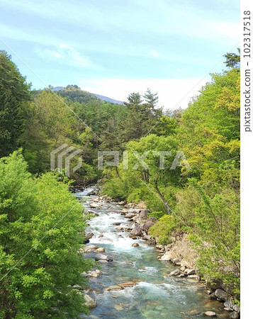 Shinshu, fresh green and river scenery 102317518