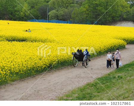 2023胎內鬱金香節【新潟縣胎內市】 102317861