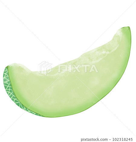 Watercolor illustration material of cut green melon Watercolor illustration material of cut green melon 102318245