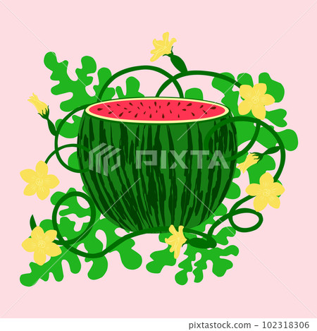 watermelon in flowers on leaves. A red watermelon plant isolated on white background. watermelon in flowers on leaves. A red watermelon plant isolated on white background. 102318306