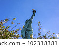 Statue of Liberty seen from behind - Iconic Landmark of New York 102318381
