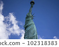 Statue of Liberty seen from the side - Iconic Landmark of New York 102318383