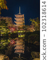 Toji Temple lit up 102318614