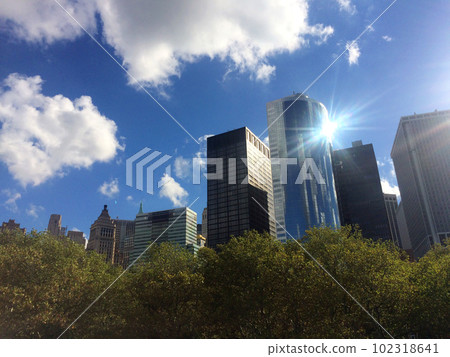 View of buildings from Central Park View of buildings from Central Park 102318641