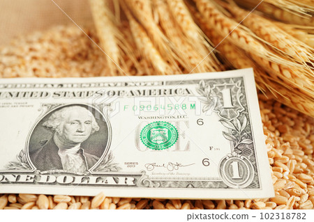 Wheat grains with US dollar banknotes, trade export and economy concept. Wheat grains with US dollar banknotes, trade export and economy concept. 102318782