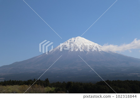 從世界文化遺產白絲瀑布看到的富士山（靜岡縣富士宮市） 102318844