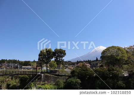 Suspension bridge over Shiba River and Mount Fuji (Fujinomiya City, Shizuoka Prefecture) near Shiraito Falls, a World Cultural Heritage Site Suspension bridge over Shiba River and Mount Fuji (Fujinomiya City, Shizuoka Prefecture) near Shiraito Falls, a World Cultural Heritage Site 102318850