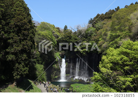 World Cultural Heritage Shiraito Falls (Fujinomiya City, Shizuoka Prefecture) World Cultural Heritage Shiraito Falls (Fujinomiya City, Shizuoka Prefecture) 102318855