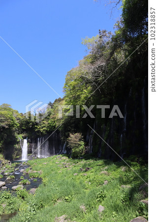 世界文化遺產白絲瀑布（靜岡縣富士宮市） 102318857