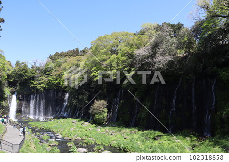 世界文化遺產白絲瀑布（靜岡縣富士宮市） 102318858