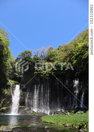 World Cultural Heritage Shiraito Falls (Fujinomiya City, Shizuoka Prefecture) 102318862